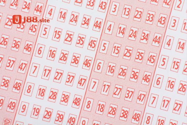 Giải đáp khái niệm lô là gì và đề là gì? Giải đáp khái niệm lô là gì và đề là gì?