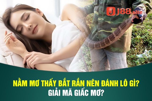 Nằm mơ thấy bắt rắn nên đánh lô gì? 1 nam mo thay bat ran nen danh lo gi