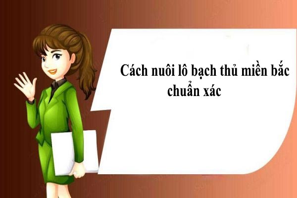 Hướng dẫn nuôi lô bạch thủ miền Bắc chuẩn xác Hướng dẫn nuôi lô bạch thủ miền Bắc chuẩn xác