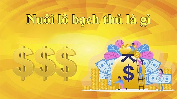 Kinh nghiệm nuôi lô bạch thủ chuẩn xác ăn chắc tiền lãi 2 Nuôi lô bạch thủ là gì?